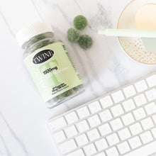 Load image into Gallery viewer, Gummies