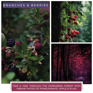 A Cheerful Giver - KOTL Baby Candle (6oz.) – Branches & Berries