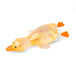 Orange Duck