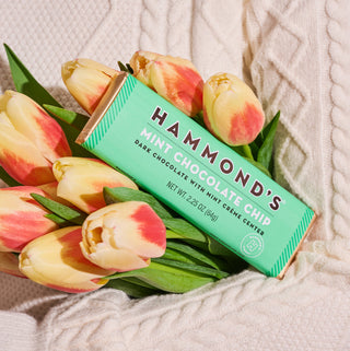 Hammond's Candies - Candy Bar - Dark Chocolate - Mint Chocolate Chip - 2.25 oz
