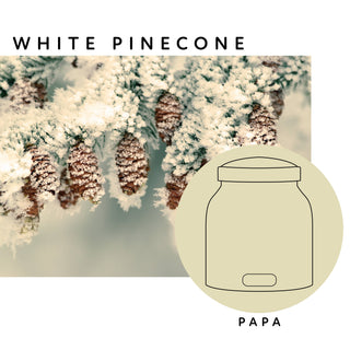 A Cheerful Giver - KOTL Papa Candle (34oz.) - White Pinecone