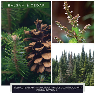 A Cheerful Giver - KOTL Papa Candle (34oz.) – Balsam & Cedar