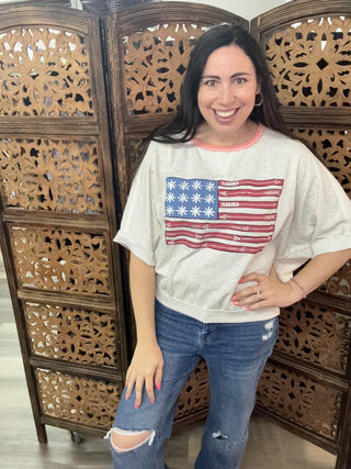Fantastic Fawn - Light Heather Grey Short Sleeve Flag Print Pullover