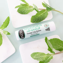 Load image into Gallery viewer, Never Lose Large Lip Balm
