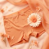 Jadyk - Arya Hip Hugging Boxers -Orange