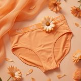 Jadyk - Arya Hip Hugging Briefs - Orange