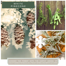 Load image into Gallery viewer, A Cheerful Giver - KOTL Papa Candle (34oz.) - White Pinecone
