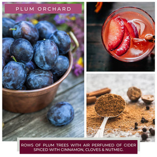 A Cheerful Giver - KOTL Mama Candle (22oz.) – Plum Orchard