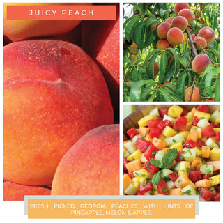 A Cheerful Giver - KOTL Papa Candle (34oz.) – Juicy Peach