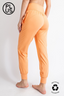 Golden Apricot