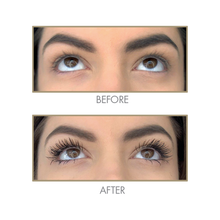 Load image into Gallery viewer, Million Dollar Lash Kit
